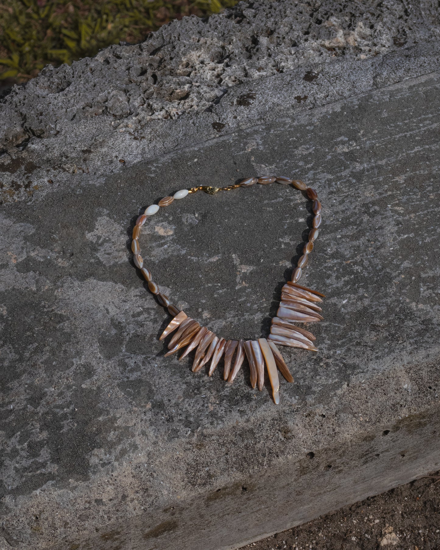 Spiked Shell Necklace